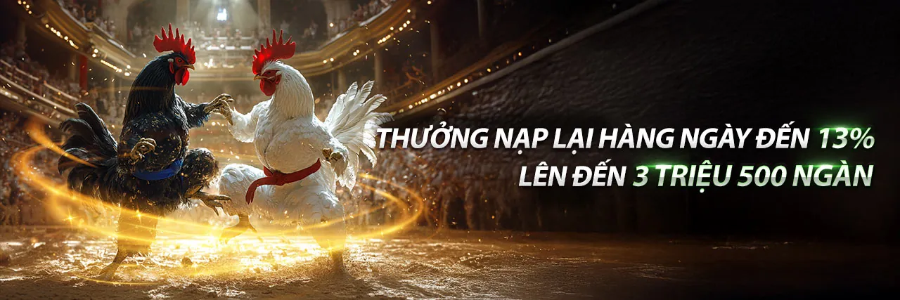 Sân vận động bóng đá với ánh đèn rực rỡ và logo choangclub chính thức